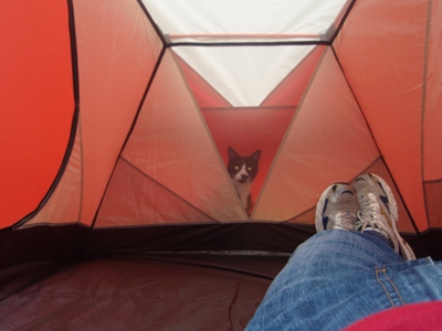 Laying down in the tent